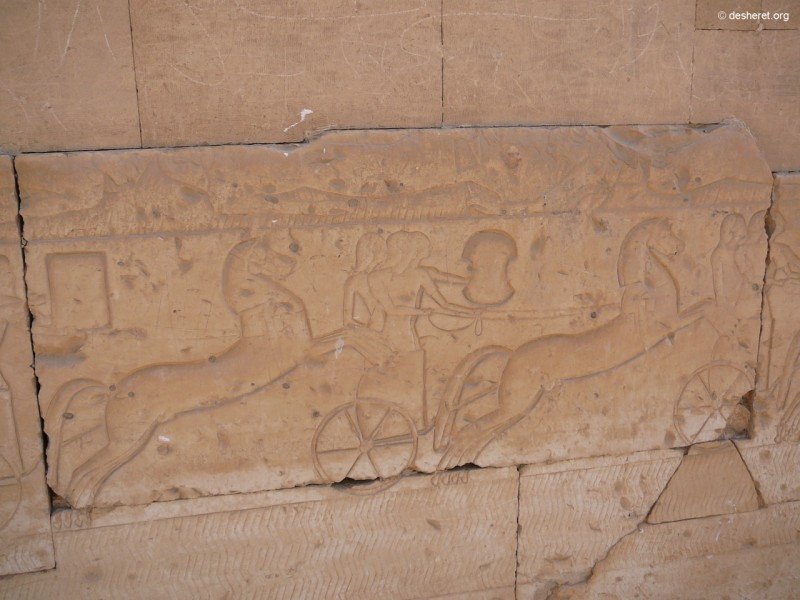 ramesses58.jpg