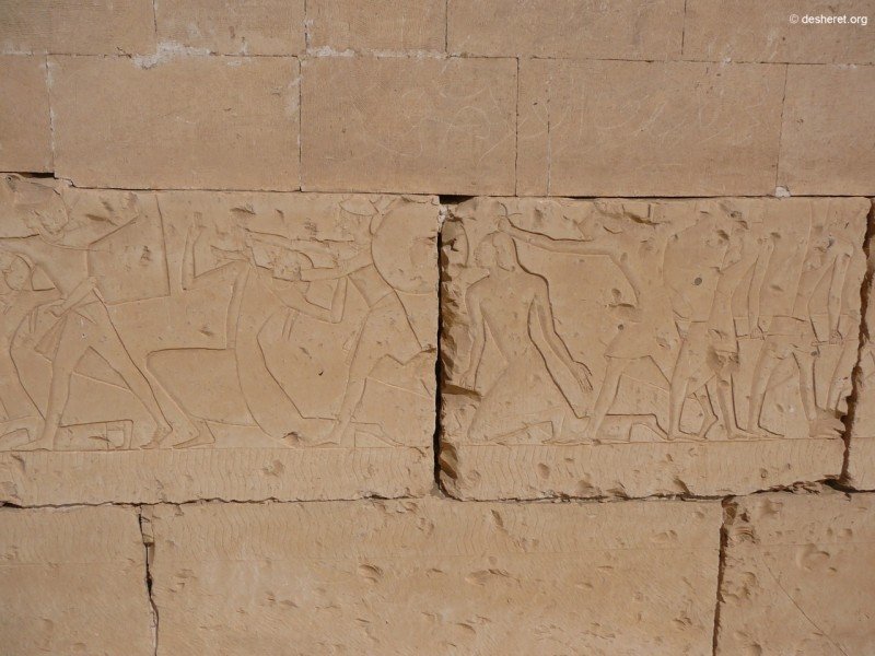 ramesses60.jpg