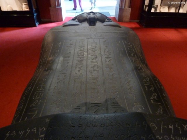 photo7.jpg