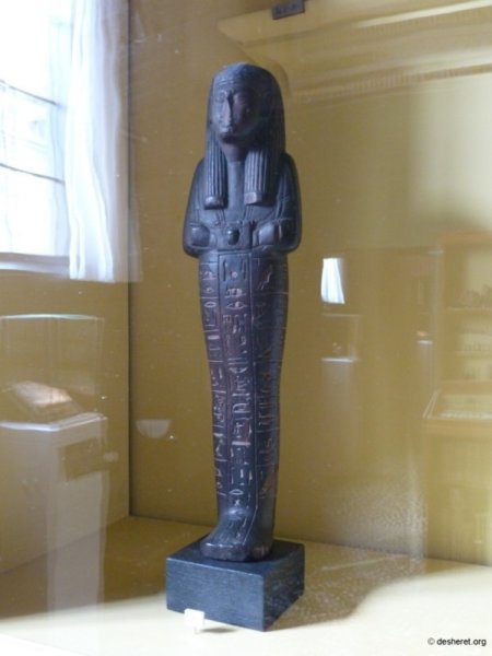 photo39.jpg