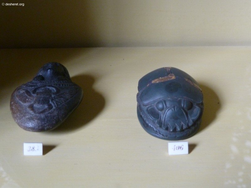 photo47.jpg