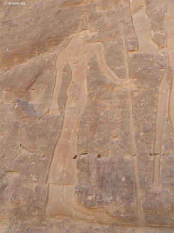 photo10.jpg