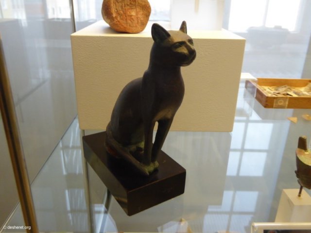 photo184.jpg