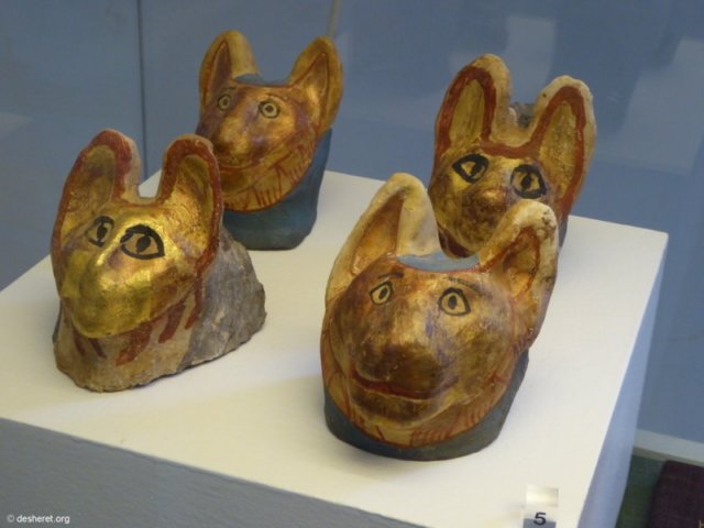 photo238.jpg