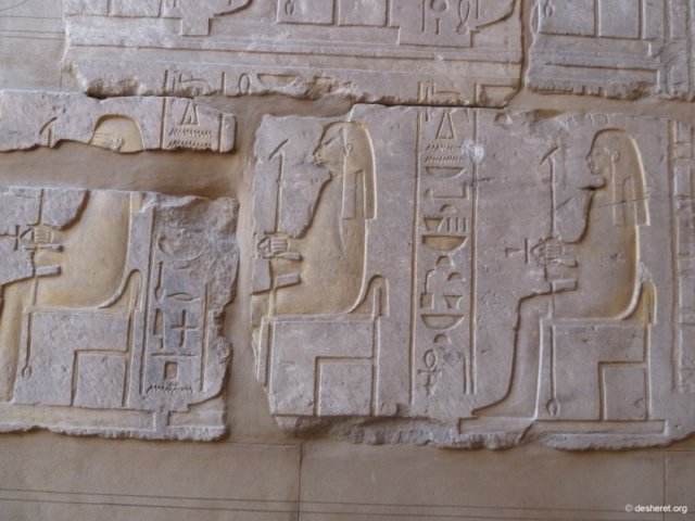 photo113.jpg