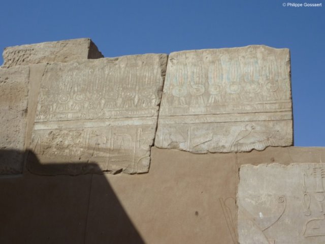 photo13.jpg