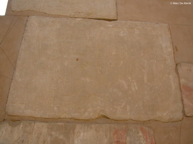 photo235.jpg