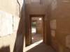 photo255_small.jpg