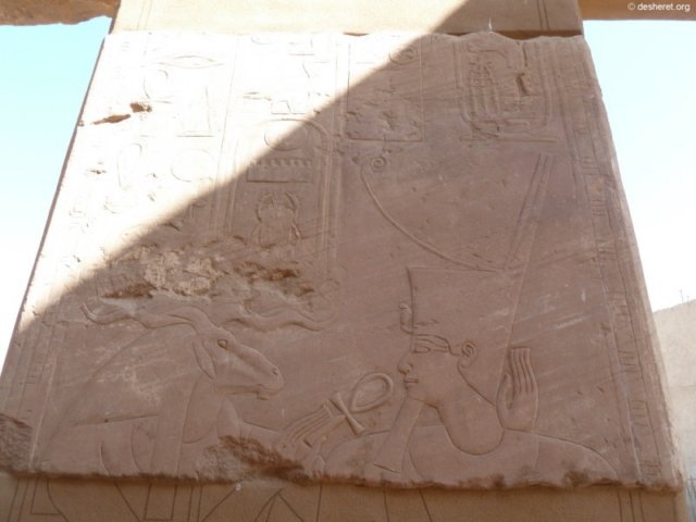 photo30.jpg