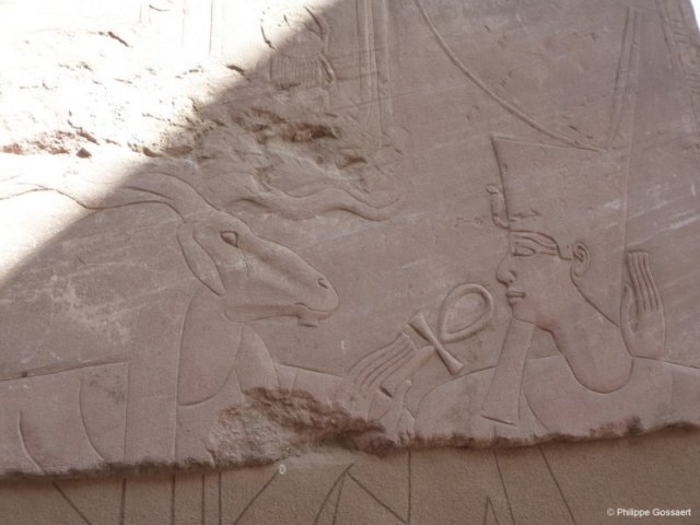 photo31.jpg