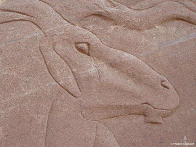 photo32.jpg