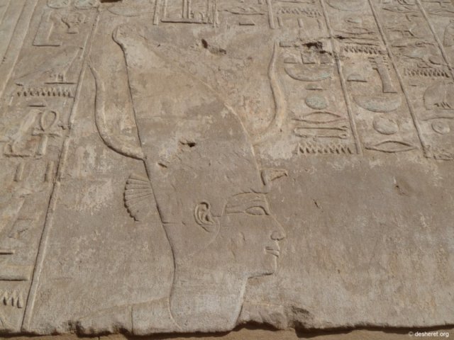 photo56.jpg
