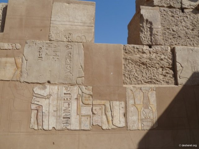 photo63.jpg