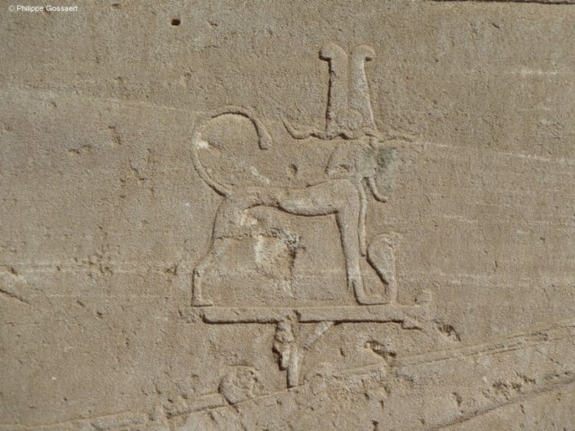 photo77.jpg