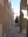 photo97_small.jpg
