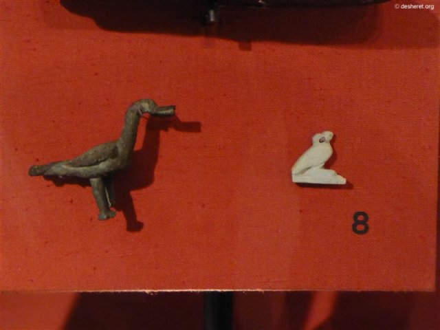 photo77.jpg
