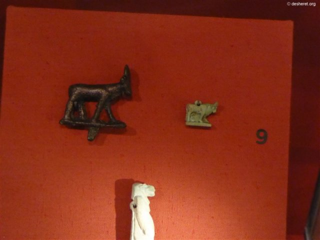 photo79.jpg