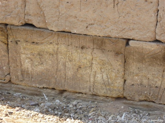 photo21.jpg