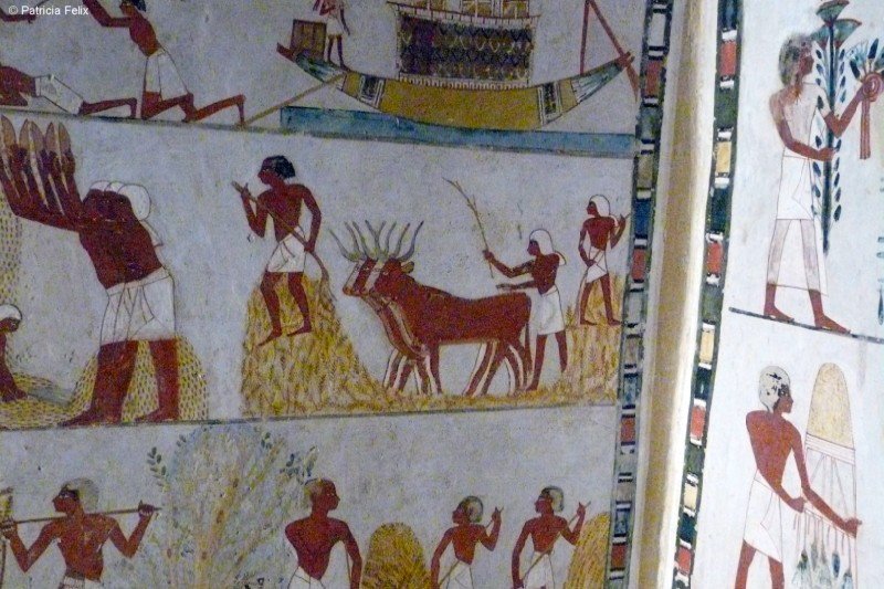 menna49.jpg