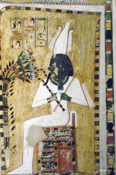 menna58.jpg